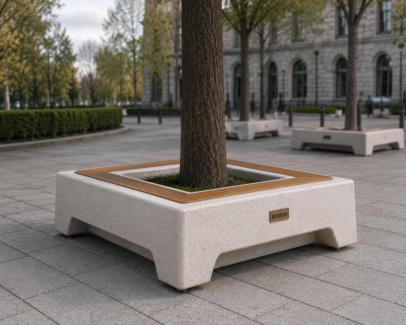 Caven Tree Bench — 2